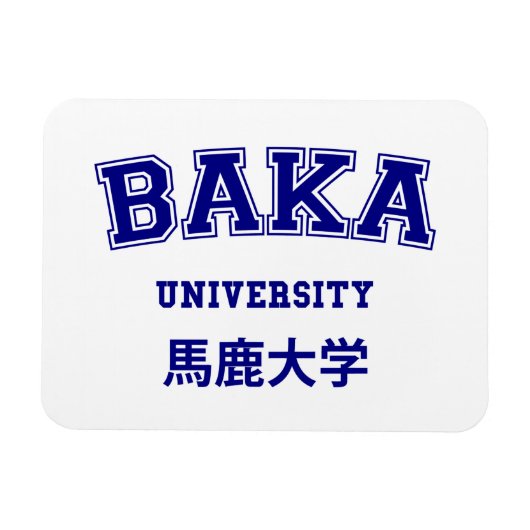 BAKA UNIVERSITEIT MAGNEET (Horizontaal)