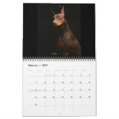 Bakari Dobermans 2008 Kalender (Feb 2027)