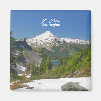 Baker Washington Schilderachtig foto Magnet
