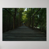 Bakhawan Boardwalk Poster (Voorkant)