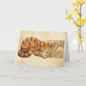 Bakkebaarden in de Kruik Kaart (Gele Bloem)