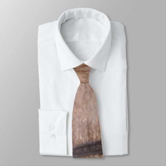 Baksteen Stropdas (Gebonden)