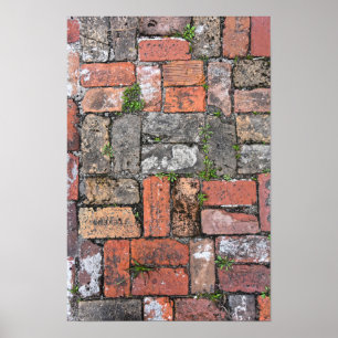 Bakstenen Trottoir, Apalachicola, Florida Poster