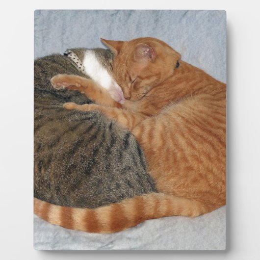 Bal van Schattigheid Fotoplaat (Voorkant)