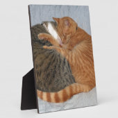 Bal van Schattigheid Fotoplaat (Zijkant)