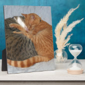 Bal van Schattigheid Fotoplaat (Zijkant)