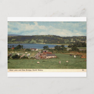 Bala Lake Dee Brug Noord-Wales Vintage-Uitzicht Briefkaart