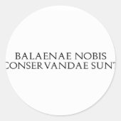 Balaenae Nobis Stickers (Voorkant)