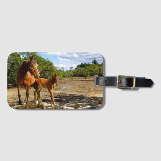 Balance Bagagelabel (Voorkant (horizontaal))