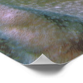 Balanced Lizardfish Poster (Hoek)