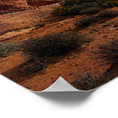 Balanced Rock, Arches National Park, Utah Poster (Hoek)