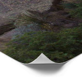 Balanced Rock - Big Bend, Texas Poster (Hoek)