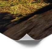 Balanced Rock Panoramic Poster (Hoek)