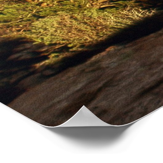 Balanced Rock Panoramic Poster (Hoek)