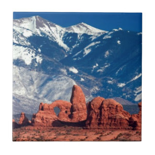 Balanced Rock Trail Tegeltje