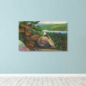 Balanced Rock Uitzicht of Fulton Chain of Lakes Canvas Afdruk (Insitu (Houten vloer))