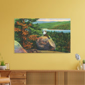 Balanced Rock Uitzicht of Fulton Chain of Lakes Canvas Afdruk (Insitu (Woonkamer))