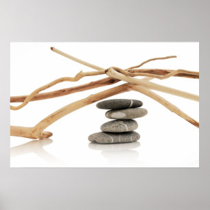 Balanceerpels en driftwood poster