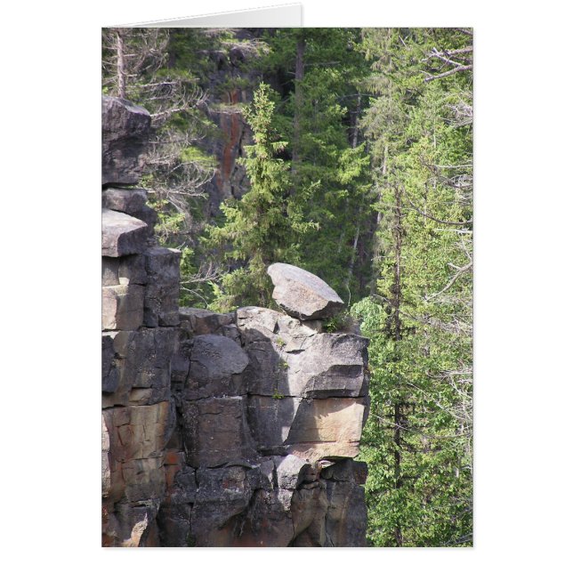 balanceerrock (Voorkant)