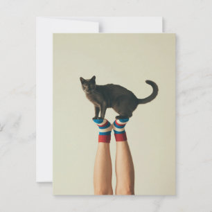 Balanceren Kat op Gestreepte Sokken, Kattenliefheb Briefkaart