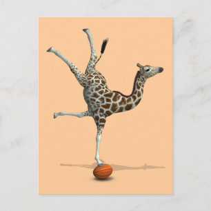 Balancerende Giraffe Briefkaart