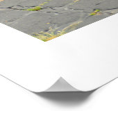 Balancering Poster (Hoek)