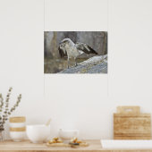 "Balancing Act" Juvenile Mockingbird Poster (Keuken)