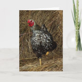 "Balancing" - Barnyard Chicken on One Foot in Hay Kaart (Voorkant)