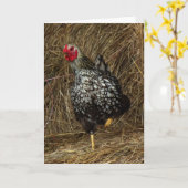 "Balancing" - Barnyard Chicken on One Foot in Hay Kaart (Gele Bloem)