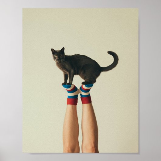 Balancing Cat op gestreepte Sokken, zwarte kat Poster (Voorkant)
