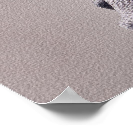 Balans Poster (Hoek)