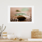 Balans poster/canvas poster (Keuken)
