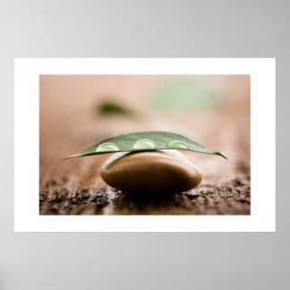 Balans poster/canvas poster