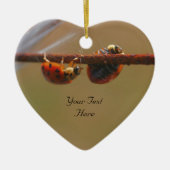 Balans van Ladybugs Cute Natuur Ornament (Voorkant)