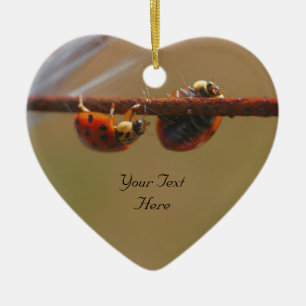 Balans van Ladybugs Cute Natuur Ornament