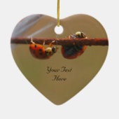 Balans van Ladybugs Cute Natuur Ornament (Achterkant)