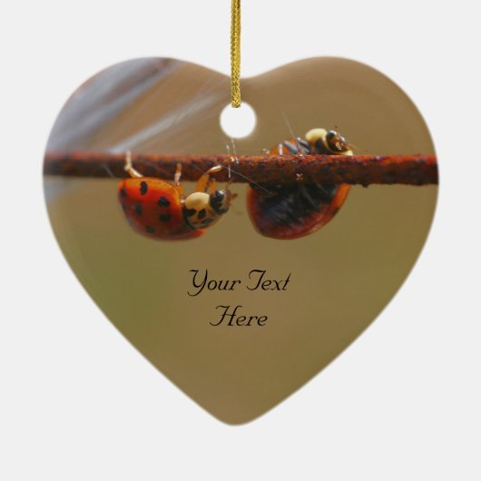 Balans van Ladybugs Cute Natuur Ornament (Achterkant)