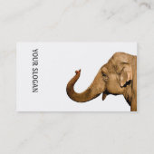Balansolifant Visitekaartje (Achterkant)