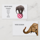 Balansolifant Visitekaartje (Voorkant / Achterkant)