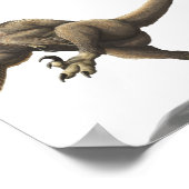 Balaur Bondoc Print (Hoek)