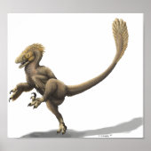 Balaur Bondoc Print (Voorkant)