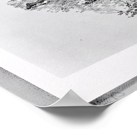 Balboa Het kruis op de kust instellen Poster (Hoek)