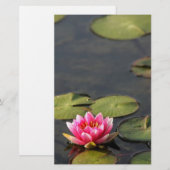 balboa park Lily briefpapier (Voorkant / Achterkant)