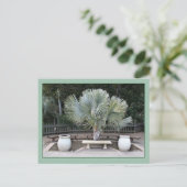 Balboa Park Scene Reminiscent van Maxfield Parrish Briefkaart (Staand voorkant)