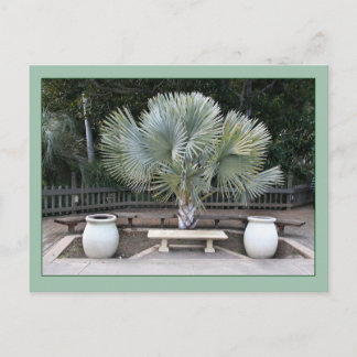 Balboa Park Scene Reminiscent van Maxfield Parrish Briefkaart