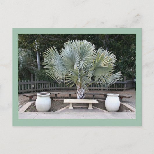 Balboa Park Scene Reminiscent van Maxfield Parrish Briefkaart (Voorkant)