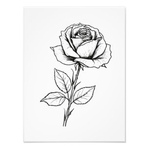 Balck White Rose Line Art Foto Afdruk