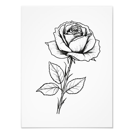 Balck White Rose Line Art Foto Afdruk (Voorkant)