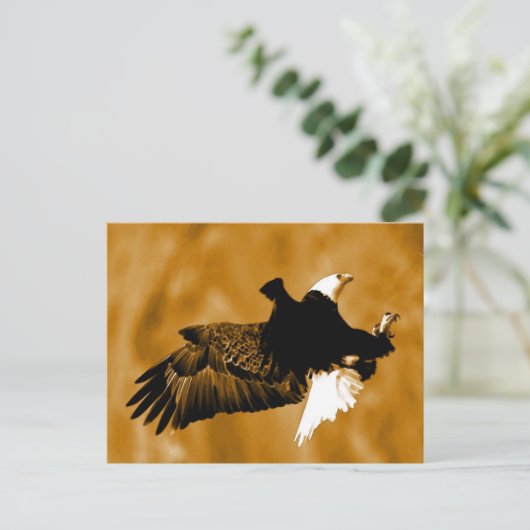 Bald American Eagle Briefkaart (Staand voorkant)