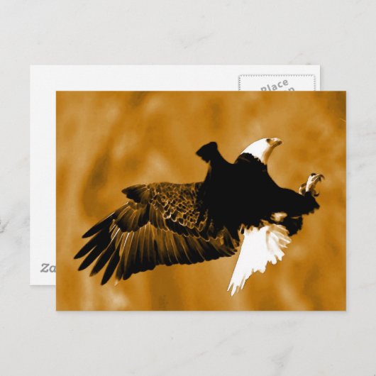 Bald American Eagle Briefkaart (Voorkant / Achterkant)